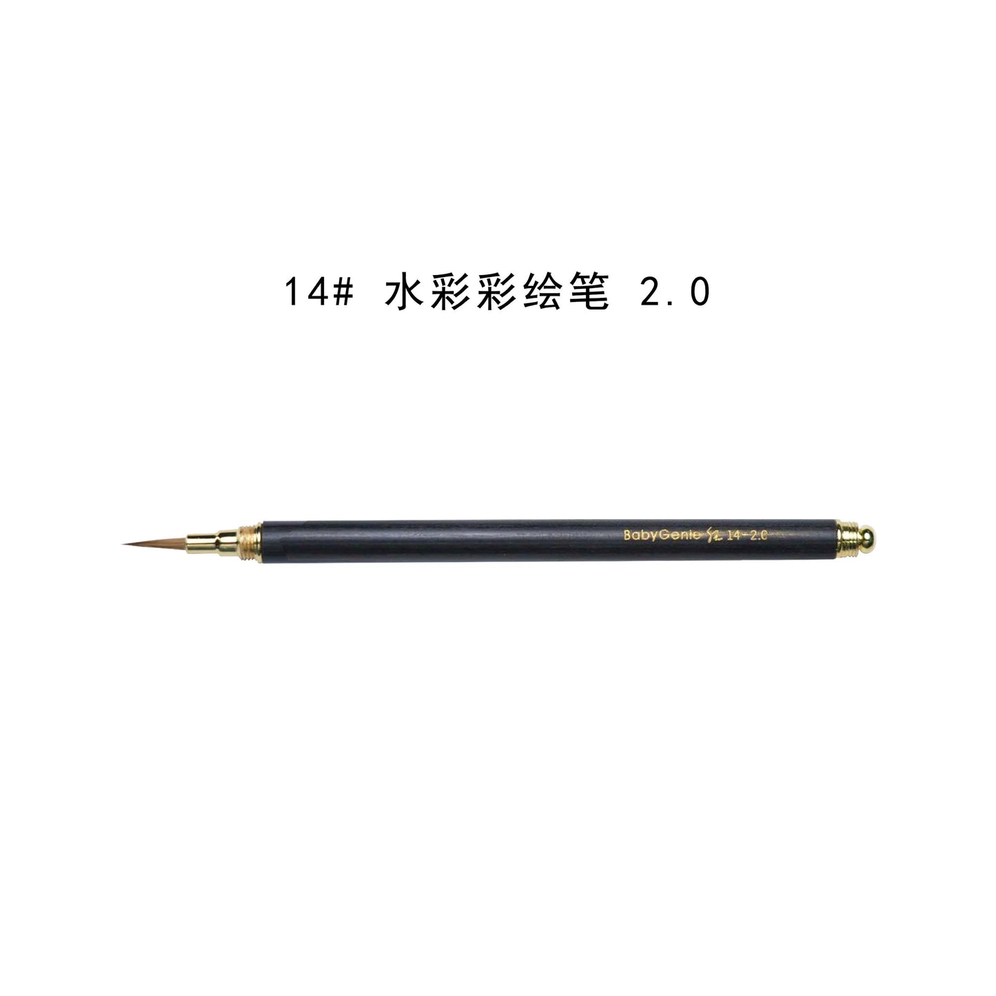 Nail brush